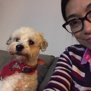 Meet your Posher, Rocioheli